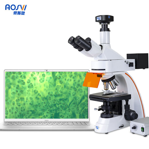 
AOSVI (AOSVI) fluorescent biomicroscope high-definition and high-power professional-grade scientific research and computer guide report cell pathology research L208F-3M830F (4-band + fluorescence camera)
