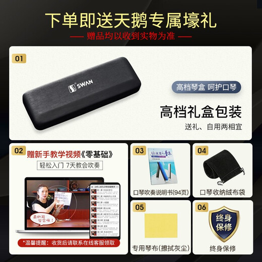 Swan (SWAN) 24-hole polyphonic harmonica Japanese imported gong advanced adult beginner professional performance C key (silver)