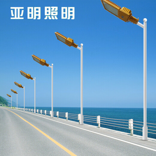 Explosion-proof street lamp holder, gas station, chemical factory, road lamp, factory area, port terminal, led lighting, explosion-proof lamp, 50W explosion-proof lamp holder