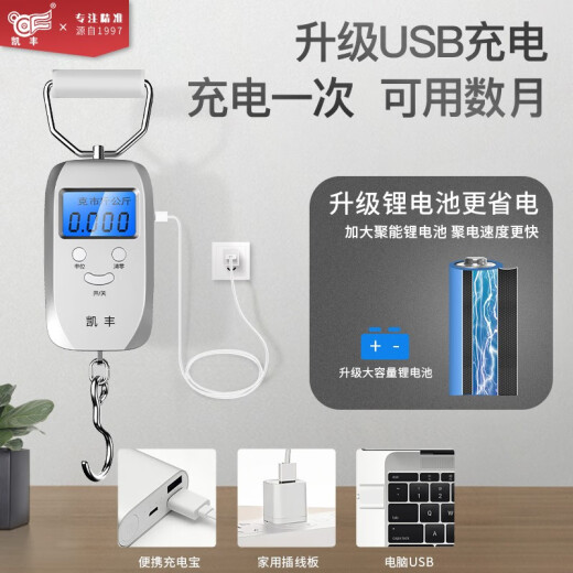 Kaifeng Portable Electronic Scale Portable High-precision Home Express Scale Spring Scale Weighing Food Luggage Scale [Lithium Battery Quick Charge Model] Silver Gray 50kg 5g