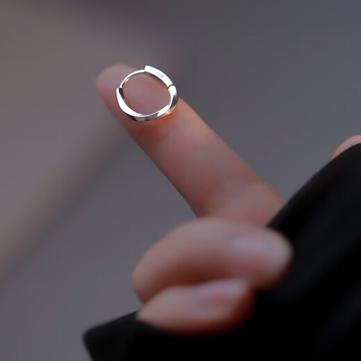 Bai Qixin earrings women's s925 silver needle niche design earrings, trendy and high-end earrings, pierced ears, teacher's day gift, light luxury earrings