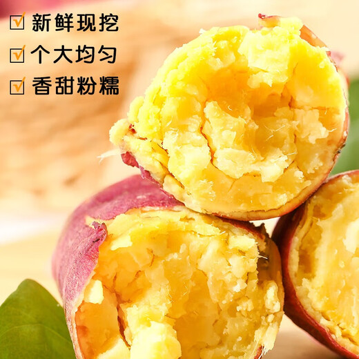 Kangtianhui Shaanxi Chestnut, Sweet Potato, Seasonal Fresh Vegetables, Fresh Naturally Cooked Sweet Potatoes, Fruits and Vegetables, Whole Box 5 Jin Jin equals 0.5 kg, Pink and sweet, Thumb Sweet Potato Net 4.5 Jin Jin equals 0.5 kg + Fresh