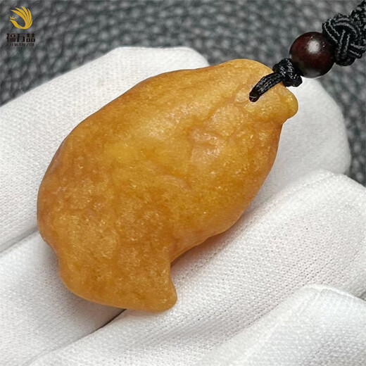 Fuwanzhe Natural Beeswax Raw Stone Pendant Baltic Sea Raw Mineral Amber Fish-shaped Sea Float Pendant 10.15g