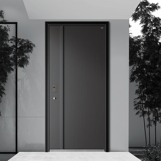 安施德锌合金甲级防盗门入户门私人定制别墅庭院大门进户门对开门 德星