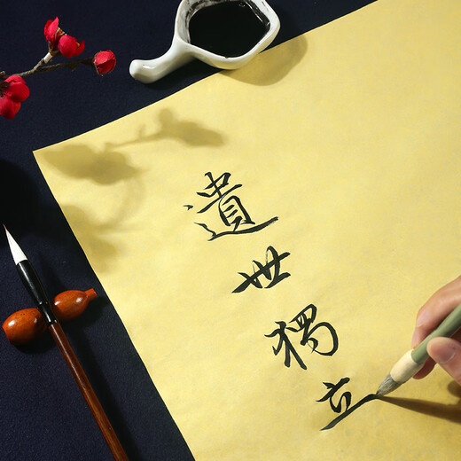 Pratiquez entièrement ouverte Matte 50 pages pour les étudiants, les débutants, la pratique de la calligraphie, la pulpe bambou mate mate mate 50 pages, le TN-1047
