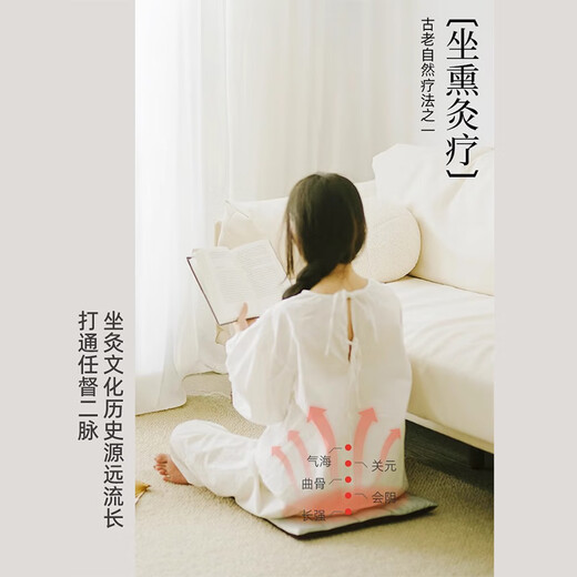 真不二艾灸热敷袋理疗袋艾草陈艾红花坐垫护腰暖宫热敷坐垫