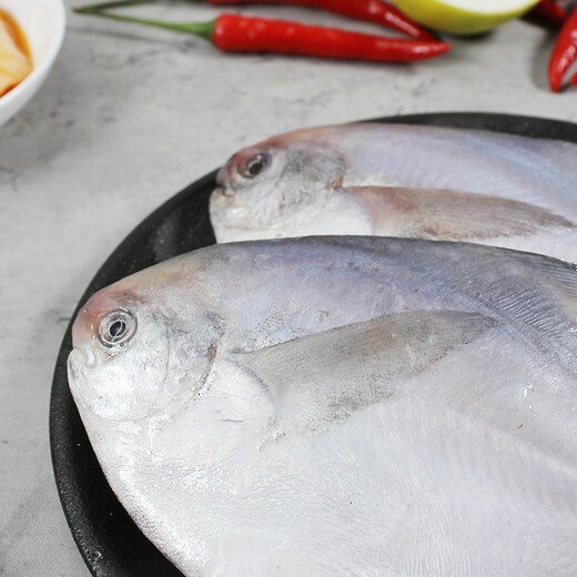 Fuhaijin Bohai silver pomfret 450g 3 pieces flat fish hot pot barbecue ingredients grilled fish seafood fish New Year gift