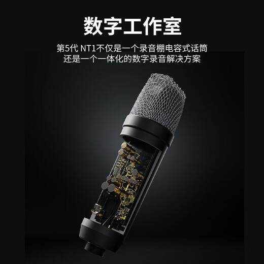 RODE NT1 5TH large diaphragm vocal condenser microphone professional home live broadcast karaoke microphone recording studio internet celebrity anchor computer dubbing recording microphone NT1 5TH condenser microphone (black model) + DS2 desktop stand