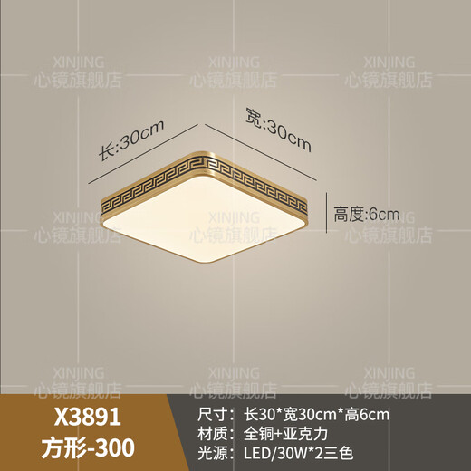 心镜全铜户外吸顶灯别墅大门口灯中式阳台玄关过道防蚊虫进门入户灯 X3891-300/方形