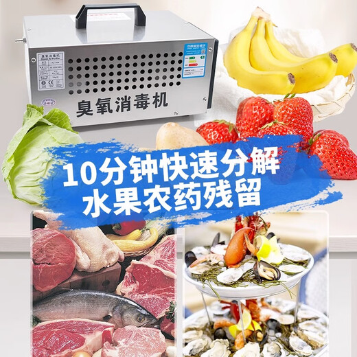 SUNCOOK industrial water treatment ozone generator portable household formaldehyde removal air disinfection machine sterilization food factory fruit fresh meat farm fish tank water purifier 10g/h industrial dual-use model (can be water treated)