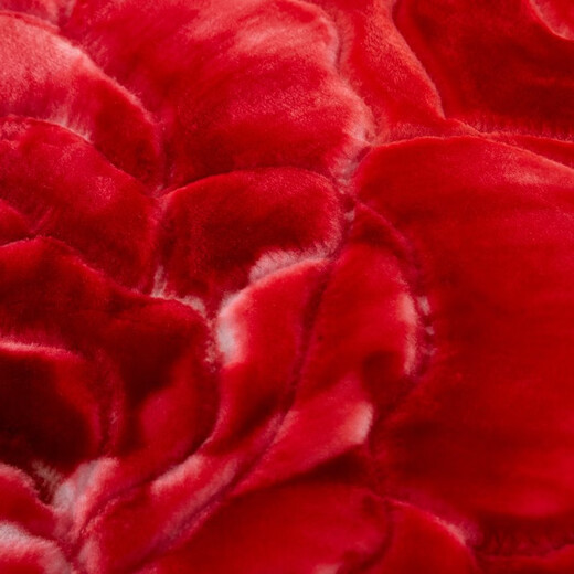 Antarktische rote Hochzeit Hochzeit Hochzeitsdecke verdickte Doppelschicht Rasher warme Decke Feste Mitgiftdecke Geschenkdecke Doppel Happy Big Red 655 Big Red 200cmx230 cm Gewicht ungefähr 8 Jin