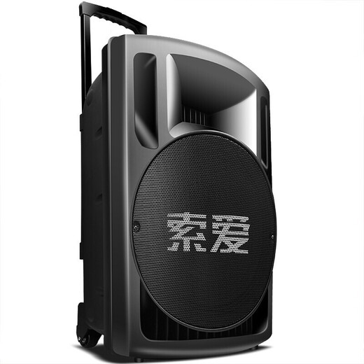 Sony Ericsson SA-T29 outdoor 15-inch high-power subwoofer square dance speaker mobile karaoke singing trolley speaker 15-inch shocking bass + 2 wireless microphones