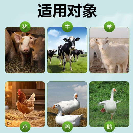 Powerful multi-dimensional baking soda powder for pigs, cattle and sheep to digest, neutralize gastric acid, chicken, duck and goose, authentic feed additive for veterinary use, multi-dimensional baking soda 5kg/barrel