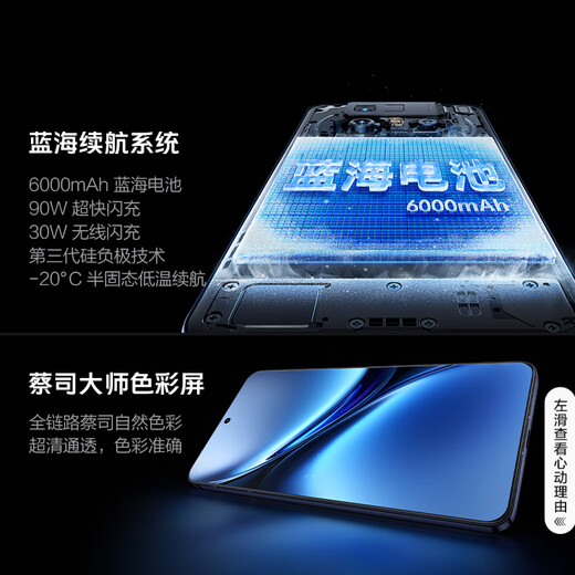vivo X200 Pro 12GB+256GB 宝石蓝 国家补贴 蔡司2亿APO超级长焦 蓝晶×天玑9400 6000mAh蓝海电池手机