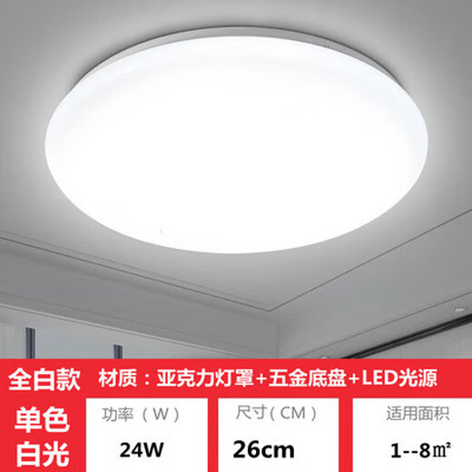 Micro ceiling lamp LED super bright home living room bedroom kitchen lamp round staircase balcony simple 24W 26CM white light promotion