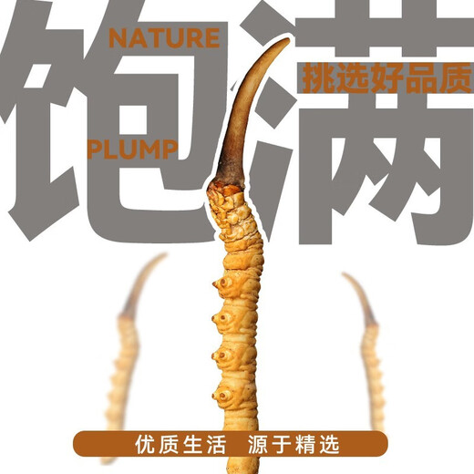 鹿章堂正宗冬虫夏草精品虫草断草正宗大断虫草干货买10条送1条散装正宗 西藏那曲3条1克正宗冬虫夏草（1条装）