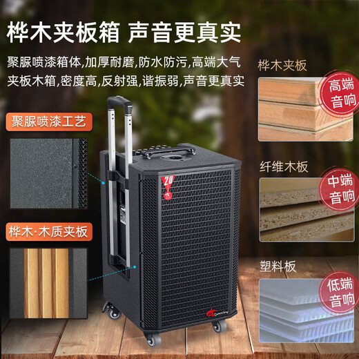 European and American high-end outdoor K-song dedicated sound card audio all-in-one machine professional singer live broadcast home KTV square dance performance high-power mobile trolley Bluetooth speaker with microphone A1 10-inch subwoofer 800W 2* headset + gift package