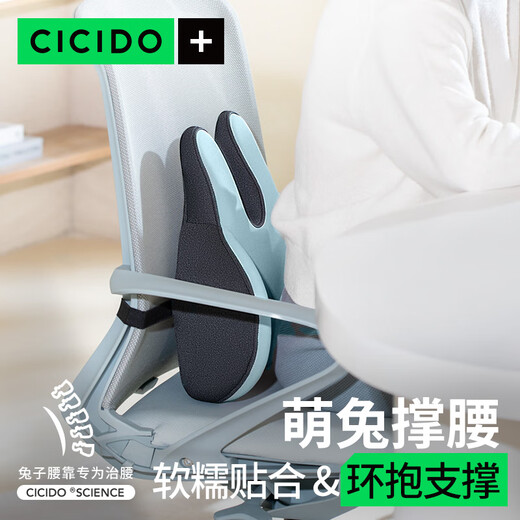 Cicido Tufei Mengjin Office Lumbar Chair for Pregnant Women to Sedentary at Work SSZ0220 Blue