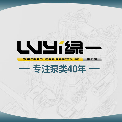 绿一（lu yi）无油空压机静音气泵工业级空气压缩机小型220V便携木工高压打气泵 1390W-12L全铜低音秒上气/免保