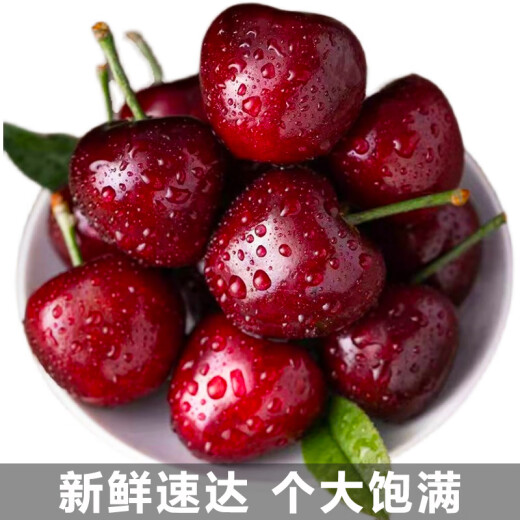 Zhixianwan cherry domestic cherry jjjj grade Dalian Meizao cherry black pearl seasonal fruit 2.5kg straight from the source