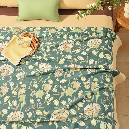 April Town Decket Deckenabdeckungen Frühlings -Nickerchen Decken Büro Büro kleiner Decken warm warmes Einzelsofa Klimaanlage Decke Peacock Green KH1694KH1695 200*230 cm