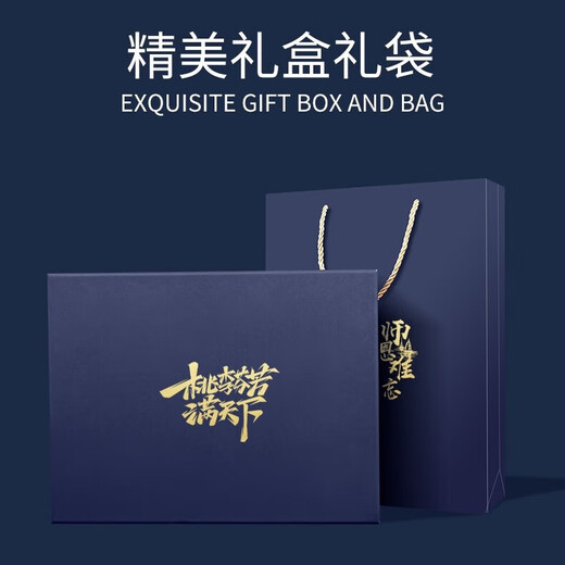格维立 公司商务礼品定制纪念品高档笔记本本子礼盒套装送员工客户奖品实用伴手礼退伍纪念品 黑笔记本+充电宝+笔