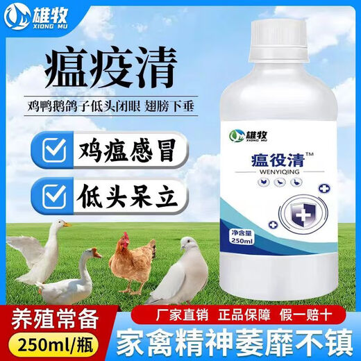 Xiong Mu Wen Ye Qing raises chickens, ducks and geese with malaise and plague, prevents chicken plague, coughs and snores, poultry feed additives 1 bottle of Wen Ye Qing 250ml
