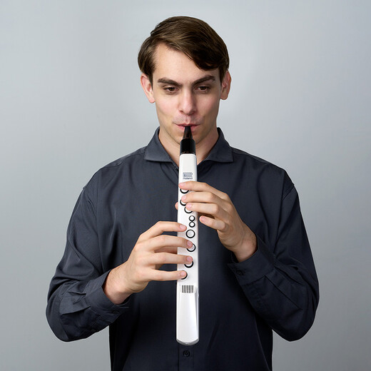 Roland (Roland) Aerophone mini AE-01C portable electric wind instrument entry-level digital wind instrument with built-in ethnic sounds AE-01C white