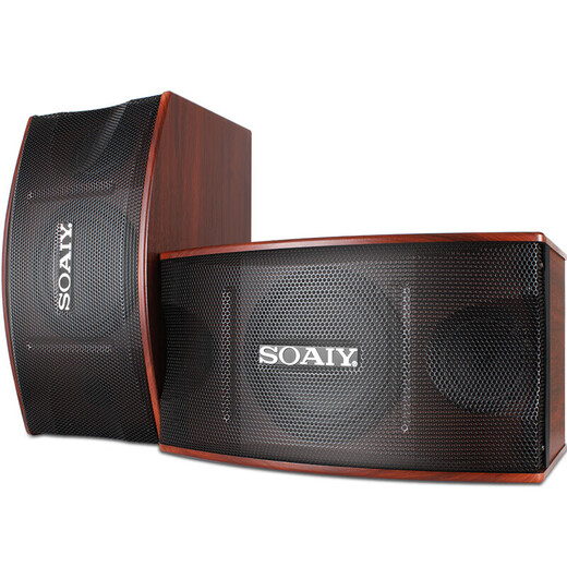 Sony Ericsson (soaiy) home KTV audio set conference audio KTV amplifier machine karaoke machine all-in-one stage audio 6.5 inch set