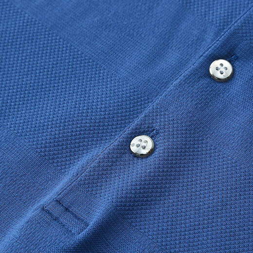 Hongdu short-sleeved T-shirt men's middle-aged business casual thin lapel loose blue work gentleman's half-sleeved T-shirt blue TH6223-1 XL 180/96A