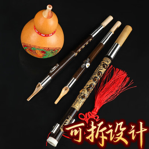 
Zhengyintang Hulusi Musical Instruments Beginners Elementary School Students Professionally Playing Seven-Operated Purple Bamboo Tube Hulusi Semi-Relief Hulusi Small D-Tune (Purple Bamboo Tube)