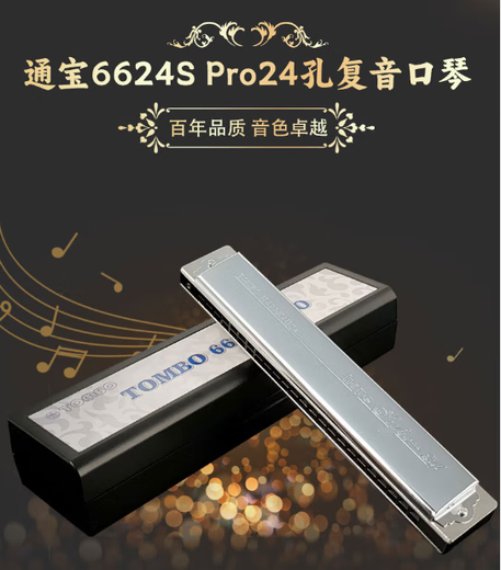 Tongbao Tombo New 6624S Pro 24-Loch Polyphonic Mundhomonica C Tune Advanced Performance Model Upgraded Electroplating Seat Plate Tongbao 6624Spro 8-Tuning-Set + Set Pack (Send U-Disk)