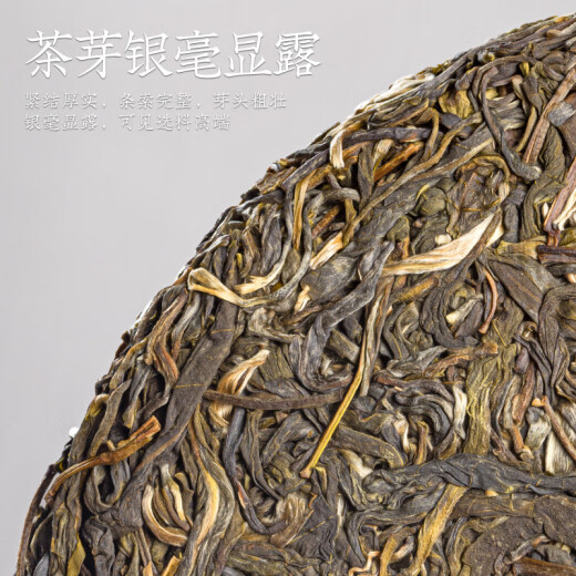 福茗源茶叶 普洱茶 云南勐海古树生茶春茶七子饼茶老树班章茶单饼装357g
