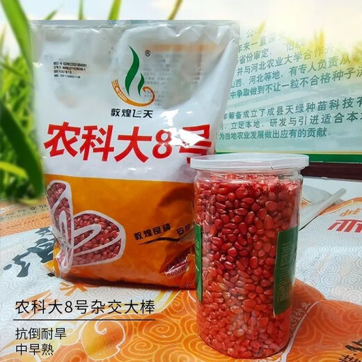 Qiule 368 corn seed wholesale lodging resistant, drought resistant and disease resistant red shaft big stick Damaya National Approval 4200 grains Tongyu 609/1kg