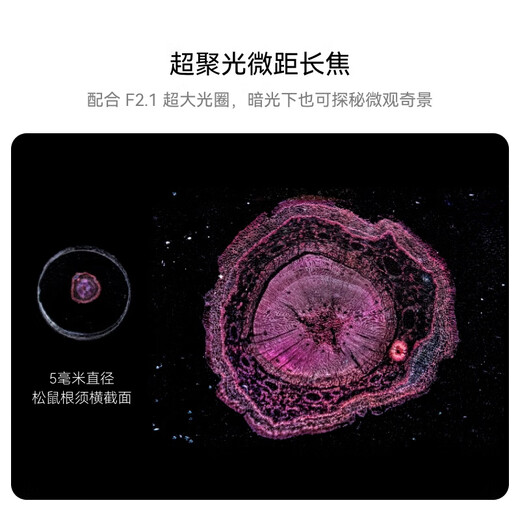 Huawei (HUAWEI) Pura 70 Pro+ Phantom Black 16GB+512GB Ultra-fast Flash Shooting Super Condensing Macro Telephoto Dual Satellite Communication Huawei P70 Smartphone