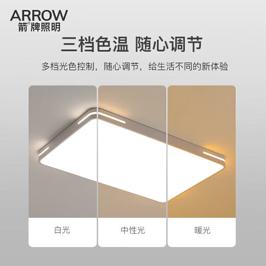 ARROW Large living room lamp, bedroom lamp, ceiling lamp, Nordic dining room lamp, balcony