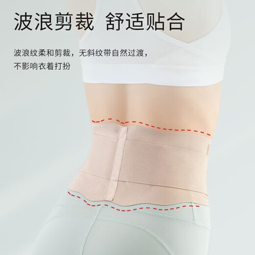 
TEEIS German waist belt long-term sitting artifact summer thin lumbar disc herniation medical lumbar muscle strain women abdominal tightening exercise Steel plate support waist belt M code丨suitable weight 90-120Jin [Jin equals 0.5 kg]
