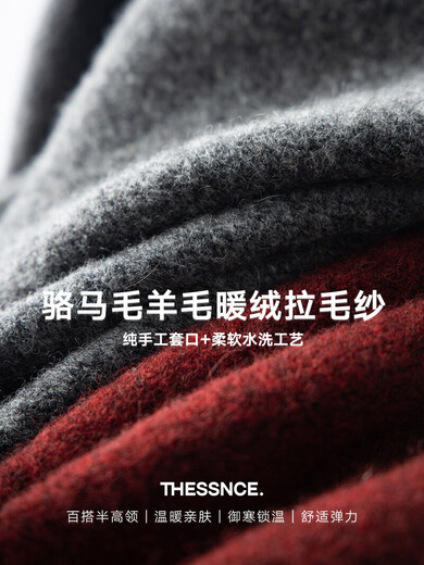 THESSNCE.暖绒羊驼毛LAMA混纺 半高领套头羊毛衫针织衫毛衣男秋冬 花灰【现货】 M