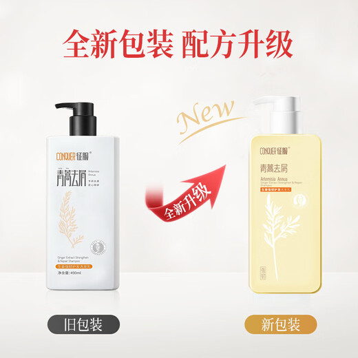 征服（CONQUER）洗发水去屑止痒控油防干枯生姜洗发水青蒿提取物抑螨洗发乳洗发露 生姜洗发乳728ml+护发素728ml