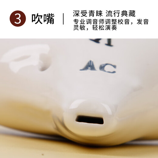 Fengyao, 12-Loch-Oval, AC Midtone C Key Twelve-Loch-Oval, gute Tonhöhe mit Musikpartitur, Lotus-Reim