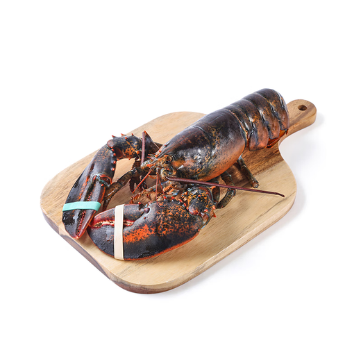 Fresh Boston lobster 400-500g/piece