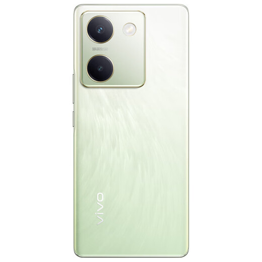 
VIVO X100 Blue Crystal Dimensity 9300 5000mAh Blue Ocean Battery Zeiss Super Telephoto 120W Dual-core Flash Charging Photos AI 5G Mobile Vivox100 Liuyunqing丨Y100 (Snapdragon 695) 12GB+256GB