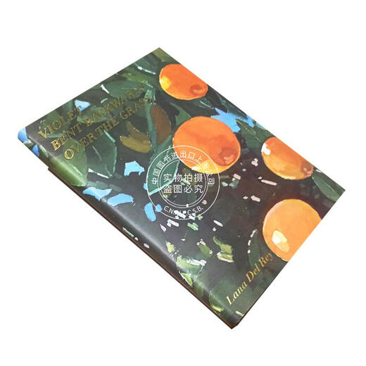 现货 打雷姐诗集 拉娜·德雷诗歌集 英文原版 Lana Del Rey 精装 Violet Bent Backwards Over the Grass 美国 歌手 打雷姐新书