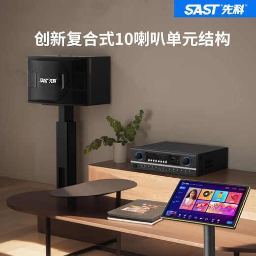 先科家庭ktv音响套装点歌机卡拉ok点唱一体机全套会议室家用家庭影院K歌全套电视客厅专业唱歌组合音箱 10寸音响10单元+功放+充电话筒+2T点歌机