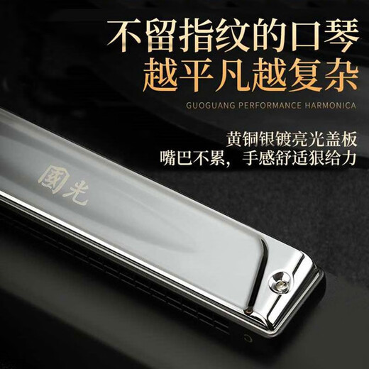 德国进口音簧国光口琴28孔重音专业演奏级复音C调初学者成人学生入门 【高端演奏款】28孔哑光黑色复音C调