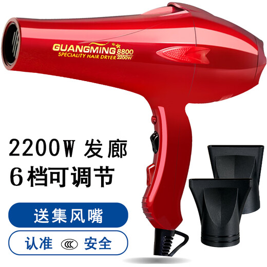 珂楚电吹风电吹风RCT8800大功率2200w冷热风家用发廊发型师恒 光明2200W大功率电吹风9928