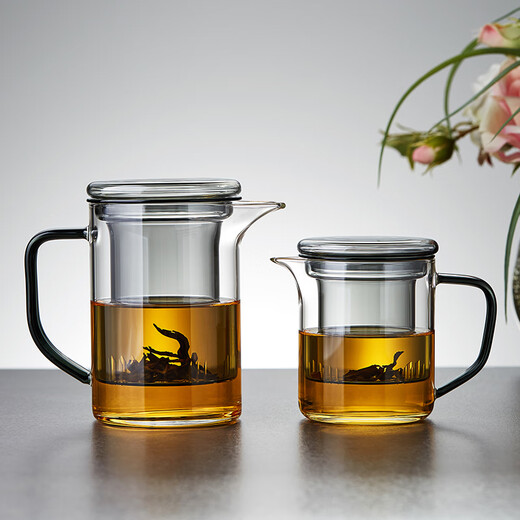 美斯尼 茶杯玻璃泡茶杯带嘴泡茶器茶水分离杯花茶杯办公居家用茶具 墨客杯 690mL