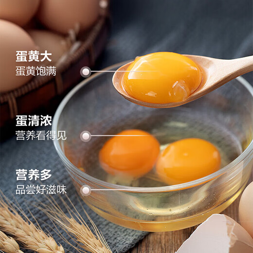 Jingxijia fresh eggs, local eggs, grain-fed, mountain self-raised eggs, soft-boiled eggs, breakfast Jingdong 40g, 4 pieces, about 40g Jingxijia fresh eggs, local eggs, grain-fed, mountain self-raised eggs, soft-boiled eggs, breakfast Jingdong 40g, 4 pieces, about 40g