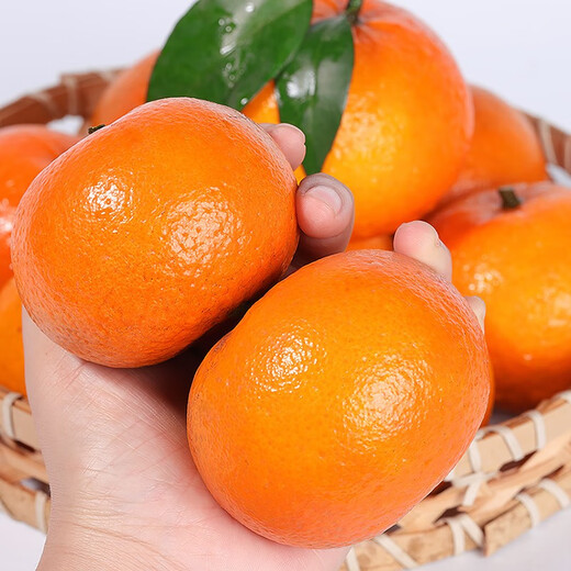 Tanweijun Authentic Guangxi Wuming Wo Tang Seasonal Fresh Fruit Citrus Oranges Optional Gift Box Full Box Net Weight 4.5-5Jin Jin is equal to 0.5kg Affordable Packing Fruit Diameter 60-65mm