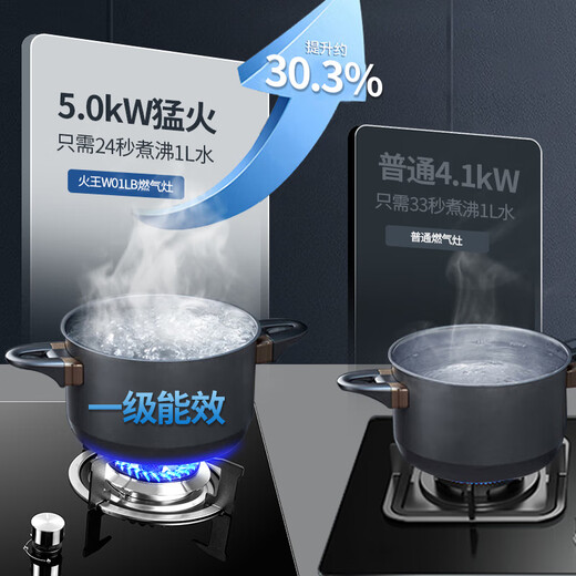 火王（Hione）燃气灶天然气双灶 5.0kW猛火液化气煤气灶 防风旋火台式嵌入式一级能效节能灶W01L/B W01L/B(5.0kW/天然气12T）